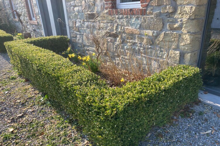 Domaine des Bouts de Fagnes – Maison 13 pers., sauna - Photo 2