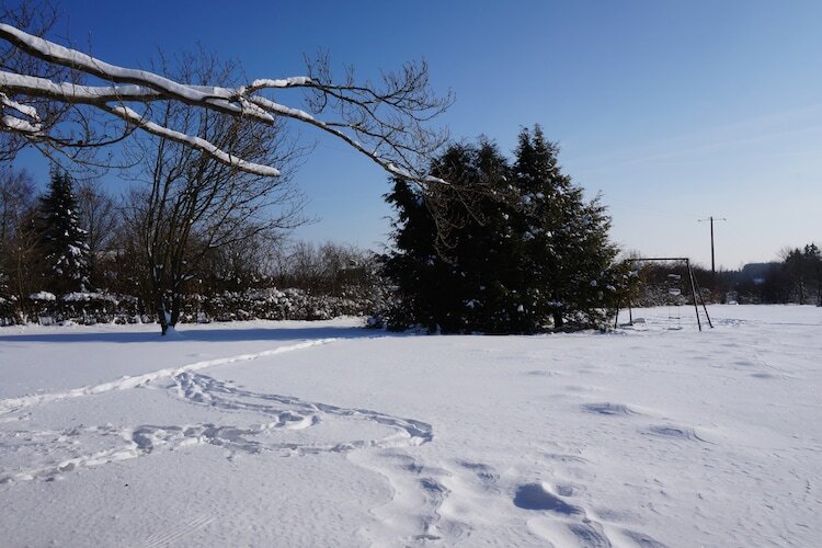 Domaine des Bouts de Fagnes – Maison 13 pers., sauna - Photo 34