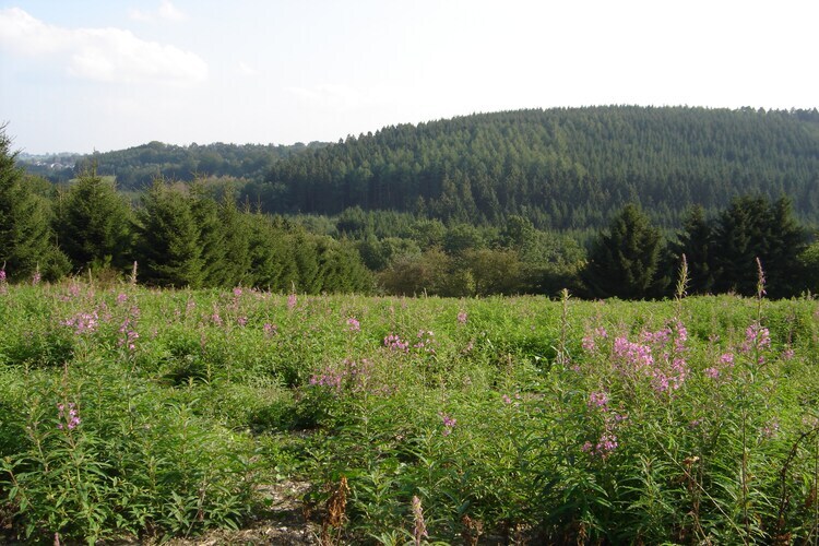 Domaine des Bouts de Fagnes – Maison 13 pers., sauna - Photo 38