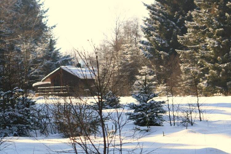 Chalet La Cabane à Waimes, sauna et nature - Photo 34