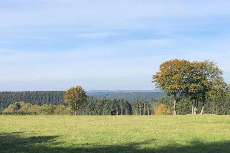 Les Mésanges, gîte 6 pers. avec grand jardin à Waimes - Photo 38