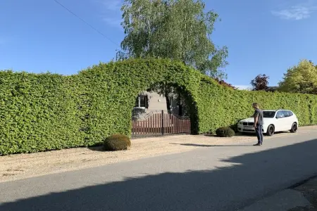 Chalet La Fagnardise à Malmedy, jardin 800 m² : photo 35