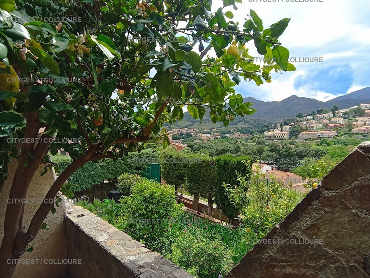 F2 Collioure avec terrasse, vue collines et parking privé - Photo 11