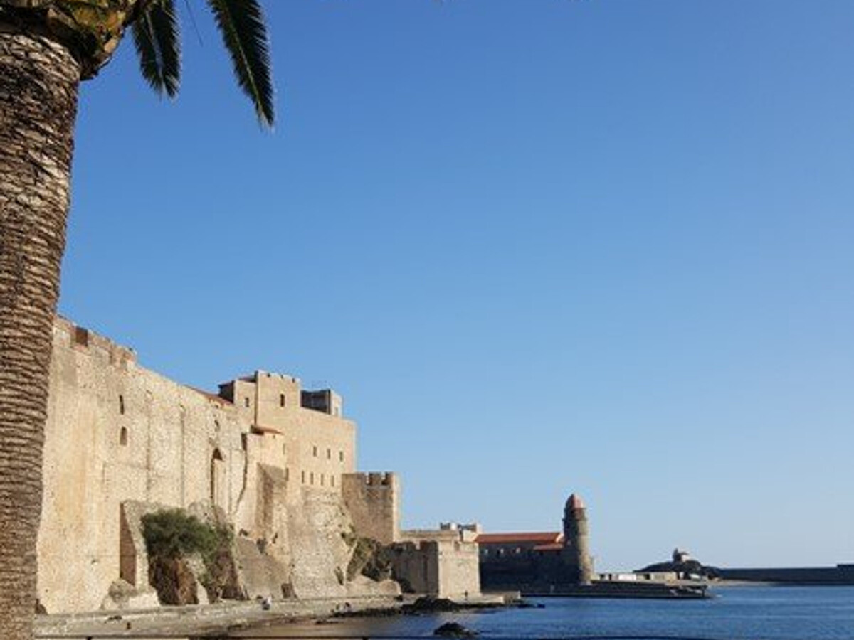 F2 Collioure avec terrasse, vue collines et parking privé - Photo 16