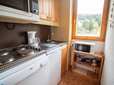 Appartement 2 chambres Valmorel, balcon sud-est vue pistes : photo 6