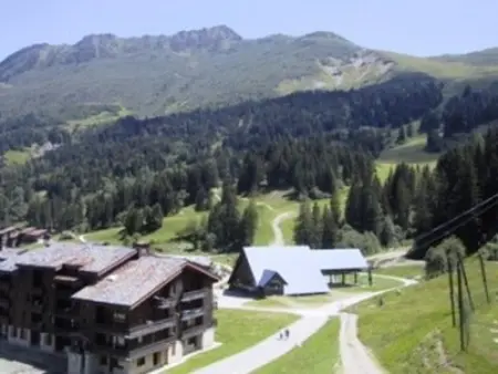 Appartement 2 chambres Valmorel, balcon sud-est vue pistes : photo 12