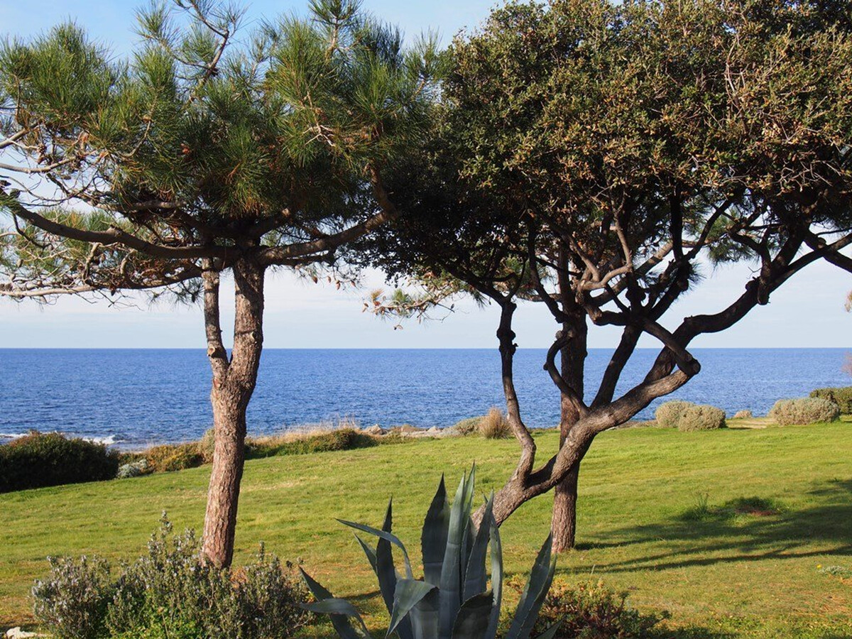 Apt 2 pièces vue mer, 4 pers, Lumio - Photo 17