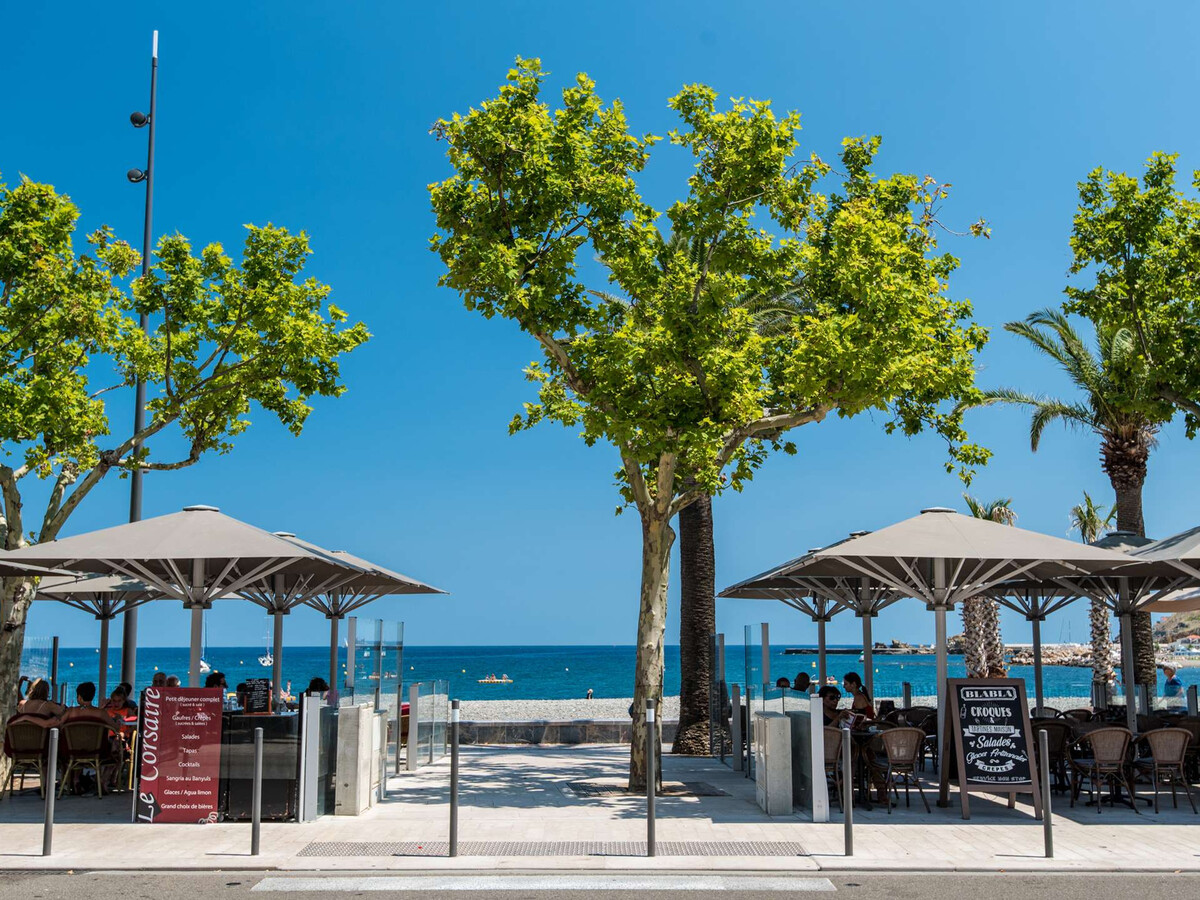 Appartement 3 pièces terrasse 45 m² à Banyuls-sur-Mer - Photo 21
