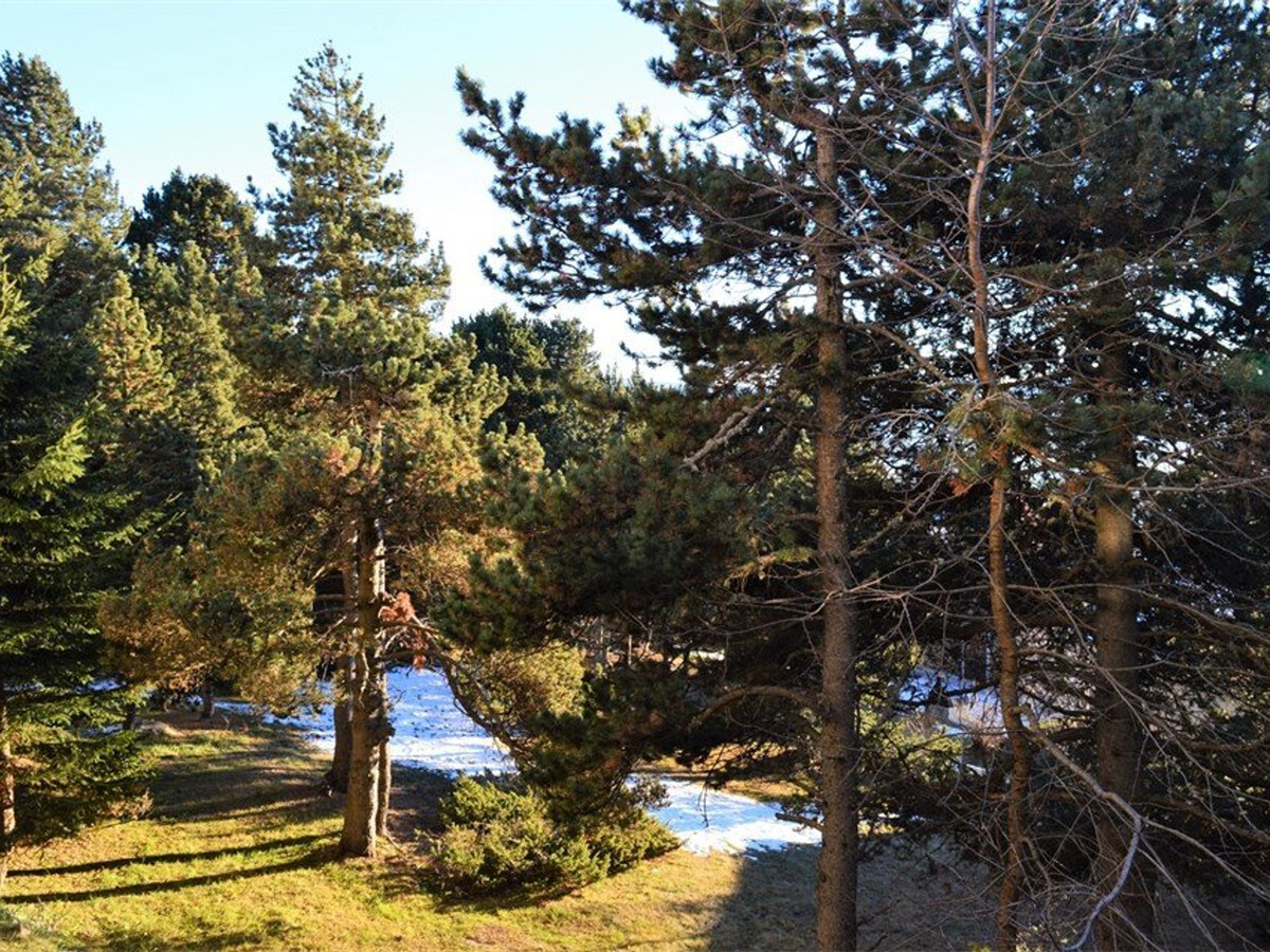 Appartement 3P 6 pers. Rez-de-chaussée sud à Font-Romeu - Photo 4