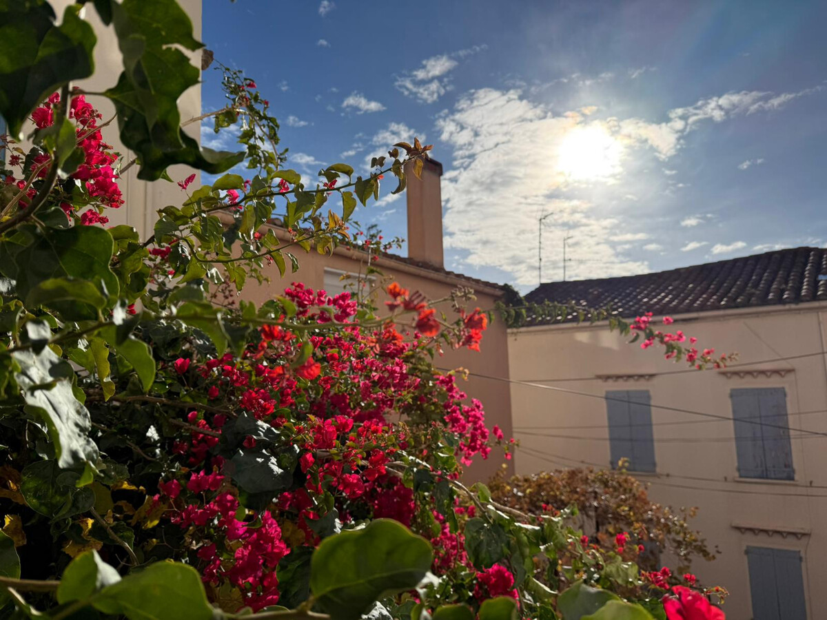 T3 centre-ville Banyuls-sur-Mer, 100m de la plage - Photo 1