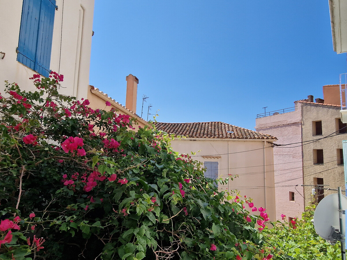 T3 centre-ville Banyuls-sur-Mer, 100m de la plage - Photo 4