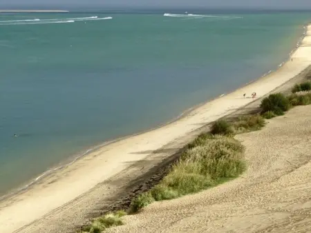 T2 cabine avec grande terrasse sans vis à vis, parking privatif, à 100m des plages - Photo 14