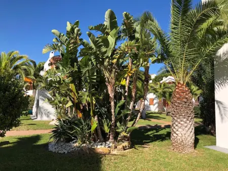 Appartement de Vacances avec Piscine à 200m de la Plage de La Pineda - Estival Park : photo 7