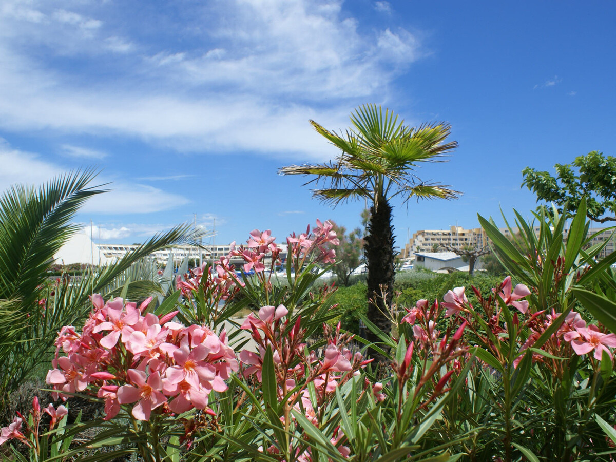 Studio climatisé Port Soleil, terrasse et piscine à Cap d'Agde - Photo 10