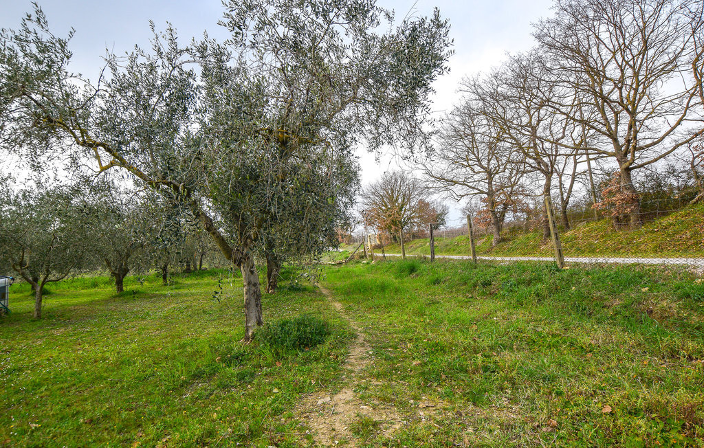 Appartement 6 personnes à Magliano in Toscana - Photo 22