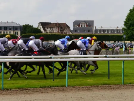 Appartement rénové vue hippodrome à Chantilly : photo 9