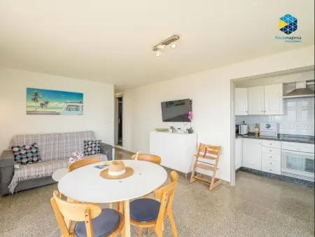 Appartement 2 ch, 55 m² avec clim et cuisine équipée : photo 7