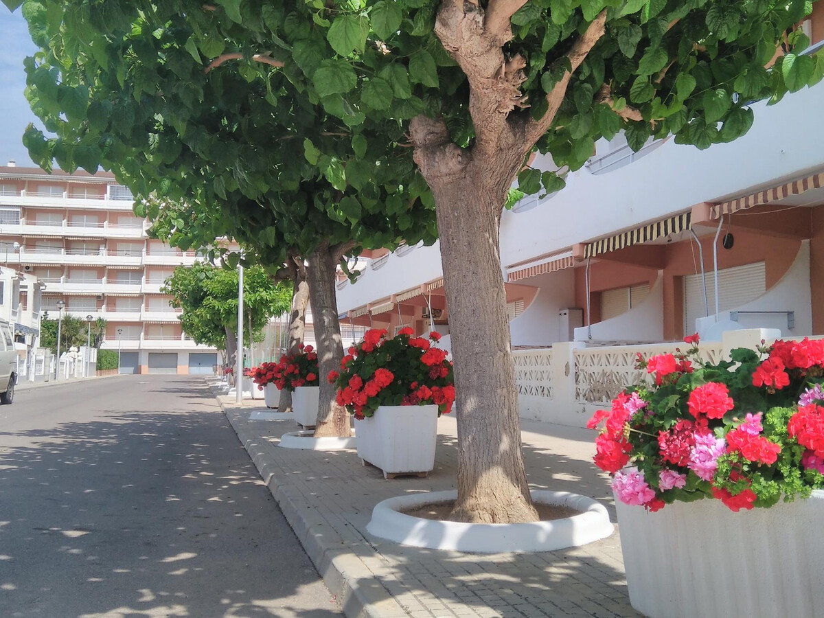 Alpen1 Voramar : Appartement 2 chambres à 150 m plage - Photo 3