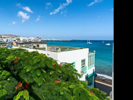 Appartement Tropical Center avec terrasse vue mer : photo 14