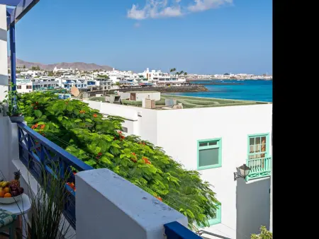 Appartement Tropical Center avec terrasse vue mer : photo 15