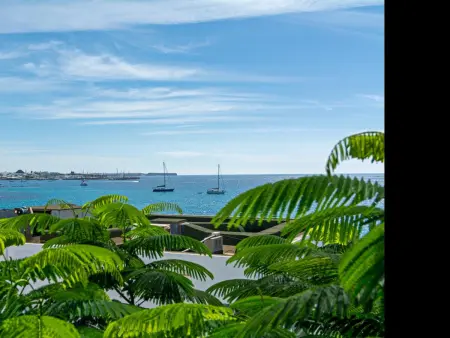 Dorado Center, appartement 2 ch centre Playa Blanca : photo 9