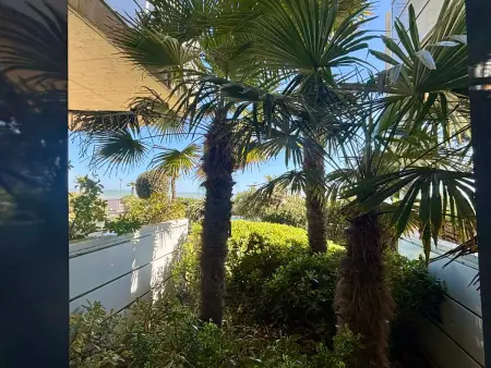 Appartement 2-6 pers face mer, piscine chauffée, jardin : photo 14