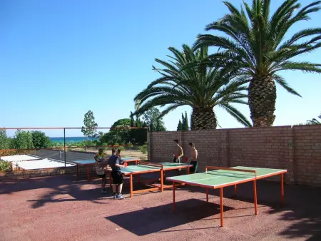 Bungalow en bois 100m de la plage, 1 chambre à Miami Platja : photo 19