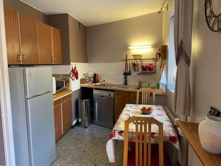 Studio 25m² balcon ouest à Brides-les-Bains : photo 3