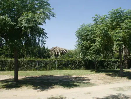 Bungalow bois 100m plage, piscine & animations : photo 22