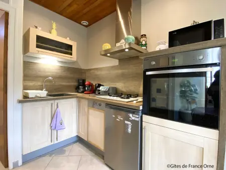 Maison rénovée avec jardin et terrasse à Rives-d'Andaine : photo 6