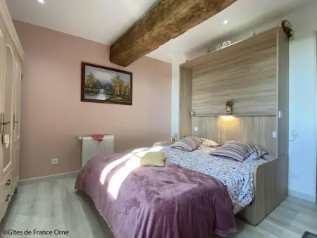 Maison rénovée avec jardin et terrasse à Rives-d'Andaine : photo 8