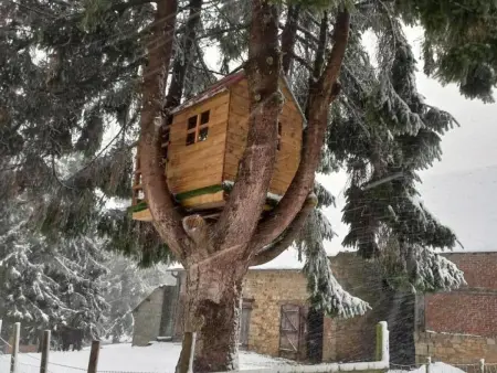 Maison rénovée avec jardin et terrasse à Rives-d'Andaine : photo 16