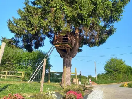 Maison rénovée avec jardin et terrasse à Rives-d'Andaine : photo 18