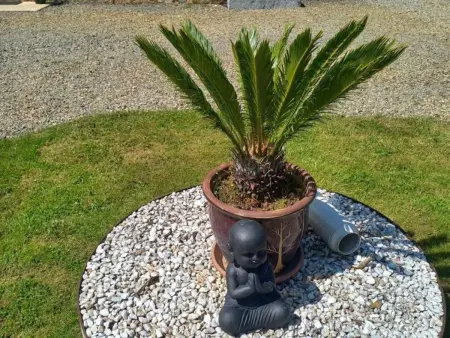 Maison rénovée avec jardin et terrasse à Rives-d'Andaine : photo 19