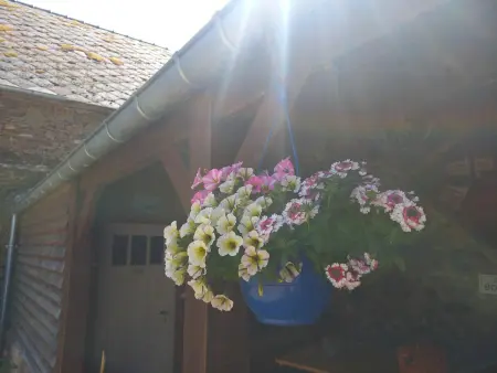Maison rénovée avec jardin et terrasse à Rives-d'Andaine : photo 20