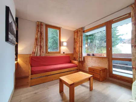 Studio 27m² balcon montagne, animaux acceptés