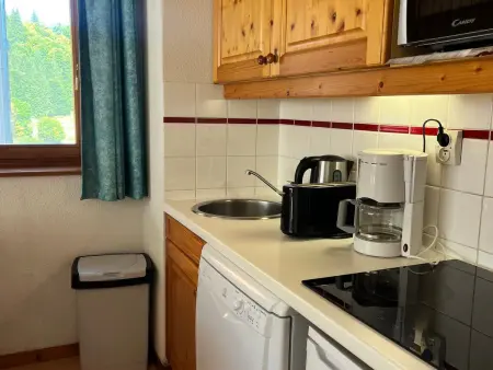 Appartement Les Sitelles, accès direct pistes Grand Massif : photo 5