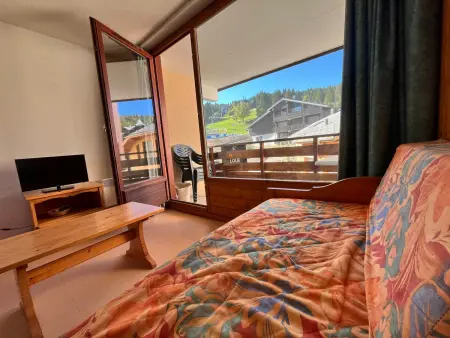 Appartement Les Sitelles, accès direct pistes Grand Massif : photo 6
