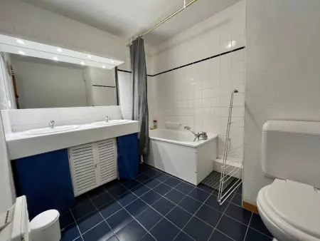 Appartement Les Sitelles, accès direct pistes Grand Massif : photo 11