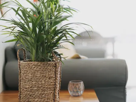 Loft à Gran Canaria proche de la plage avec cuisine équipée et terrasse : photo 6