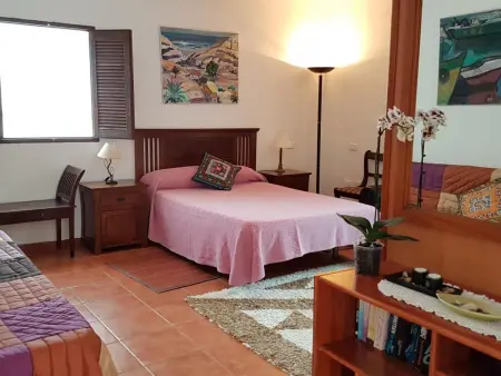 Appartement 70m² à Agaete, vue sur El Risco : photo 2