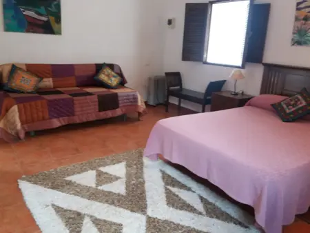 Appartement 70m² à Agaete, vue sur El Risco : photo 3