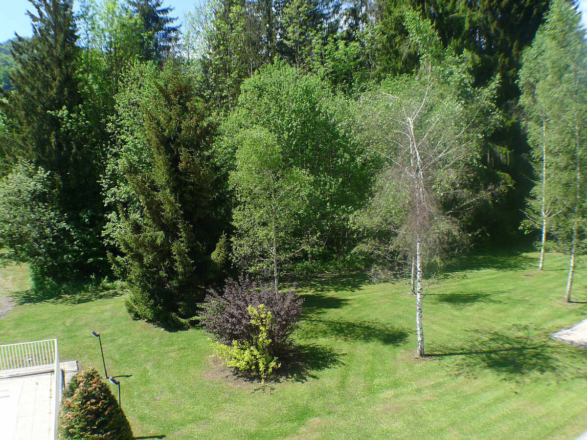 Appartement 3 pièces Samoëns, terrasse sud, animaux acceptés - Photo 23