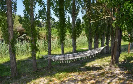 Appartement Provence avec jacuzzi et terrain de pétanque : photo 7