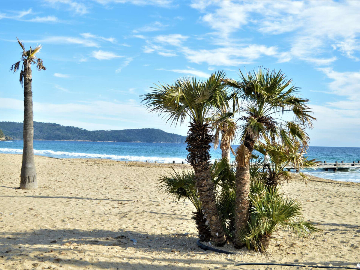 Studio 50m de la plage, parking privé à Cavalaire - Photo 12
