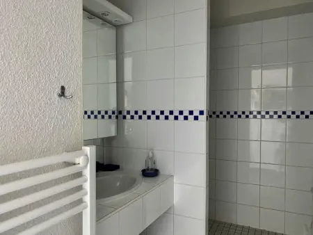Appartement vue mer avec terrasse couverte à Longeville-sur-Mer : photo 15
