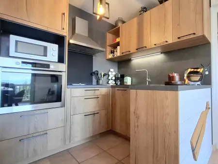 Appartement T3 rénové avec terrasse panoramique à Bolquère : photo 5
