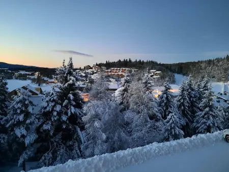 Appartement T3 rénové avec terrasse panoramique à Bolquère : photo 11