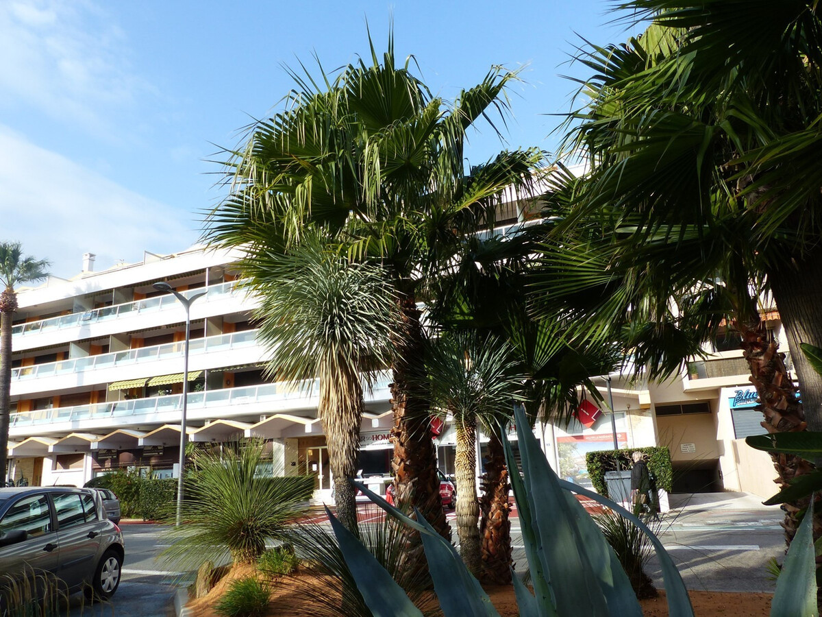 T2 climatisé avec terrasse 20 m² vue mer au Lavandou - Photo 1
