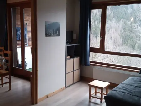 Studio 32 m² avec accès piscine à Saint-Jean-d'Aulps - Photo 3